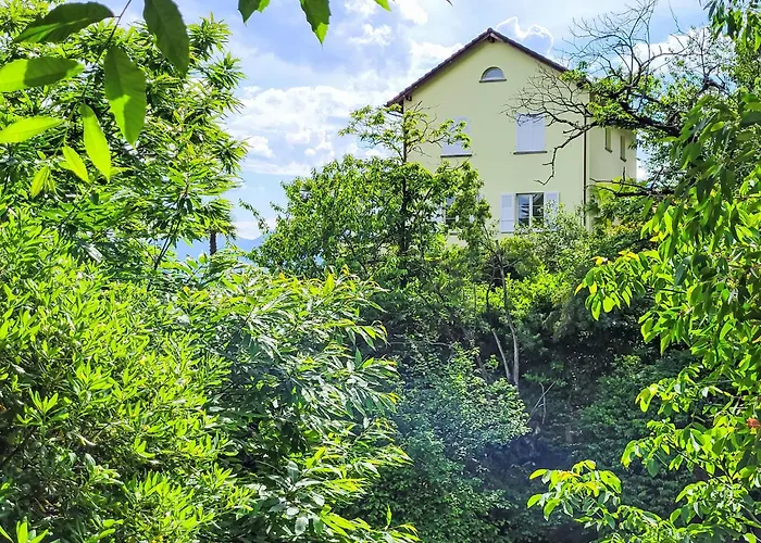 Vernice Gialla By Interhome Minusio