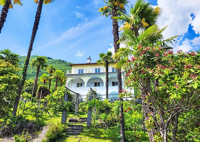 Vernice Gialla By Interhome