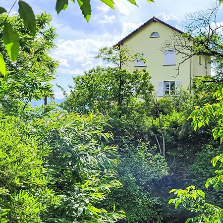 Vernice Gialla By Interhome Minusio