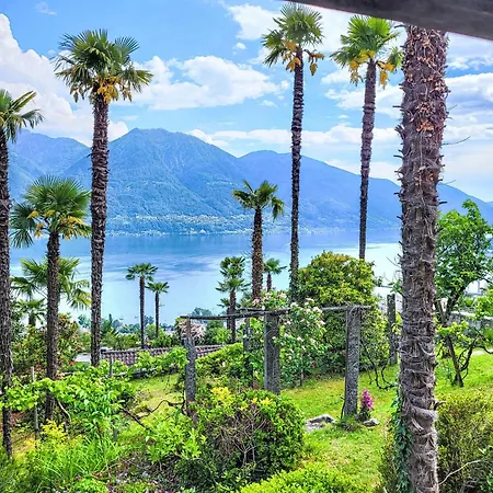 Vernice Gialla By Interhome Minusio