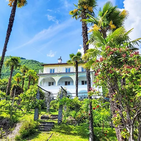 Vernice Gialla By Interhome