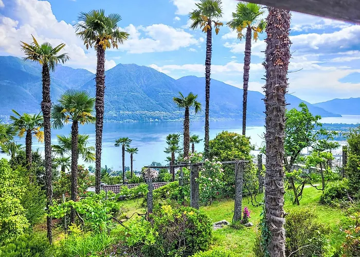 Vernice Gialla By Interhome Minusio